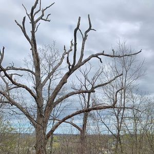 Meet your Posher, Peter